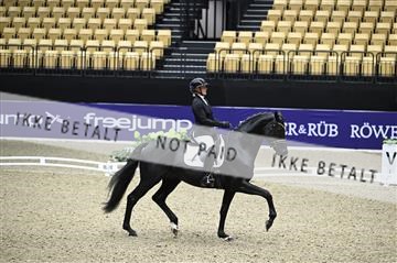 182194_kbb_01_Z095925.JPG