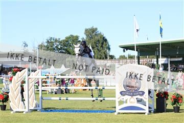 181726_mlm_01_R62_8904.JPG
