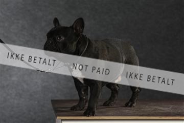 132082_le_ 01_IMG_1521.JPG