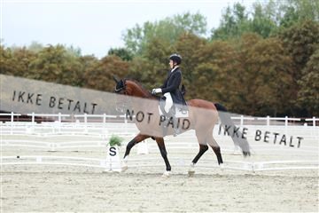 181923_mtp_01_R62_6801.JPG