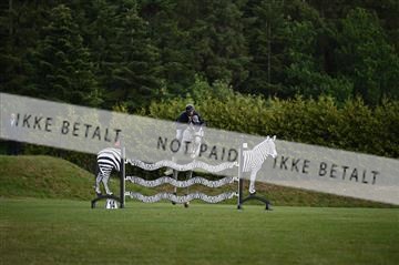 181719_AKL_6115.JPG