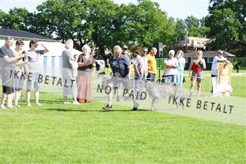181564_kar_01__62_8341.JPG