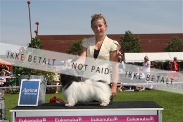 130370_se_02_IMG_6242.JPG