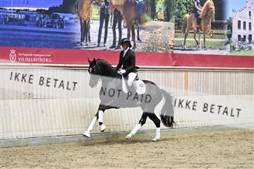 182241_kbb_01_Z094454.JPG