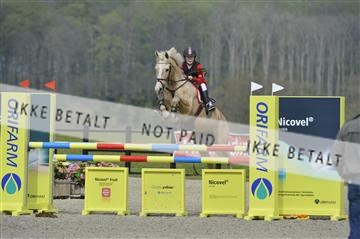 139644_abo_01__AB14352.JPG