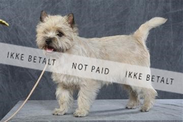 130054_le_ 03_0100.JPG