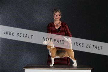 132082_le_ 01_IMG_1549.JPG