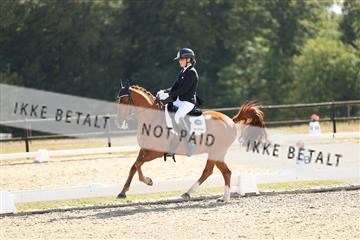 181894_mtp_02_R62_2285.JPG