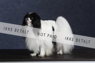 132082_le_ 01_IMG_0683.JPG