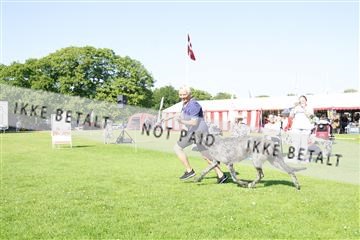 181564_kar_01__62_8345.JPG