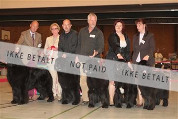 124188 _tl_02_IMG_9540.JPG