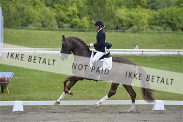 140040_abo_01__AB16921.JPG