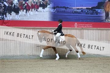 181887_mtp_04_R62_8168.JPG