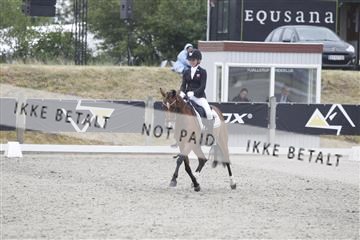 166078_rhj_01__J7R3711.JPG