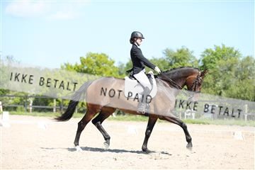 168732_mtp_01_3M5A7950.JPG