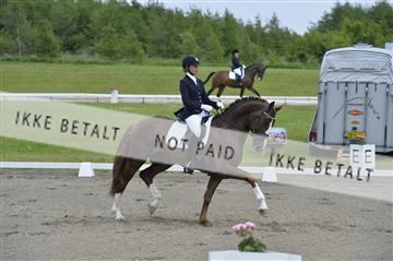 140040_abo_01__AB16914.JPG