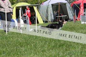 134871_ms_02_IMG_2885.JPG