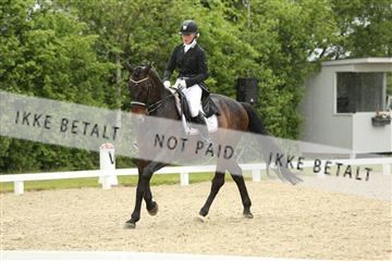 139835_sg_01_IMG_7256.JPG