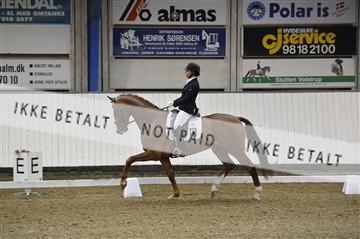 140040_abo_01__AB17950.JPG