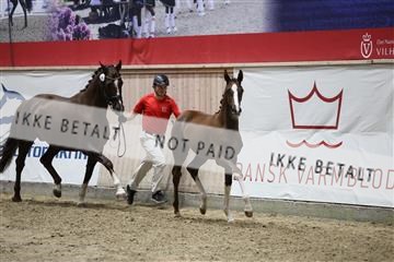 181957_mtp_08_R62_5497.JPG