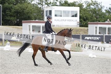 166078_rhj_01__J7R2630.JPG