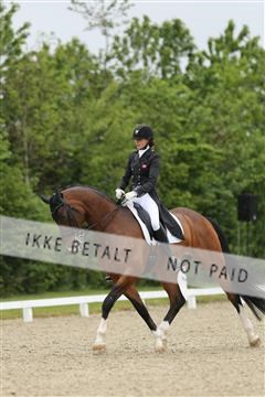 139835_sg_01_IMG_8251.JPG