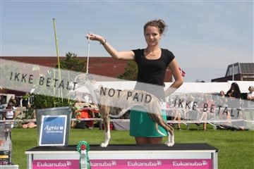 130370_se_02_IMG_6224.JPG