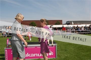 130370_se_02_IMG_6260.JPG