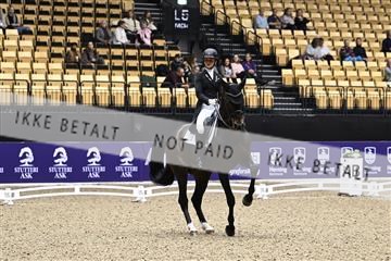 182194_kbb_03_Z099842.JPG