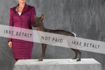 130054_le_ 03_0284.JPG