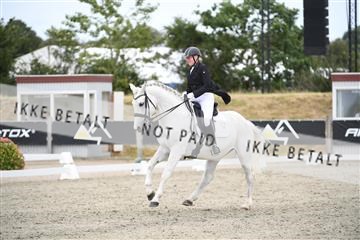 166078_kuo_02_D05_9430.JPG