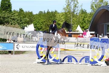 181436_avh_02_3943.JPG