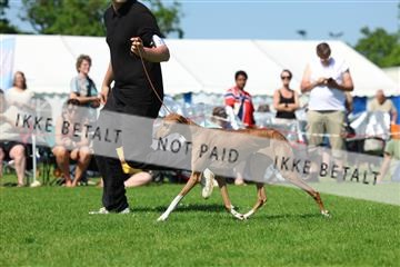 181564_rin_02_R62_4047.JPG