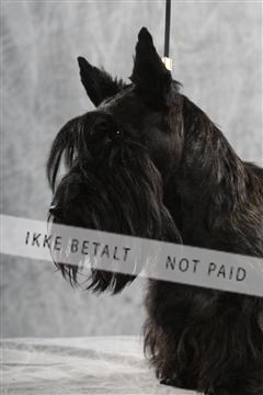 129608_le_ 02_0118.JPG