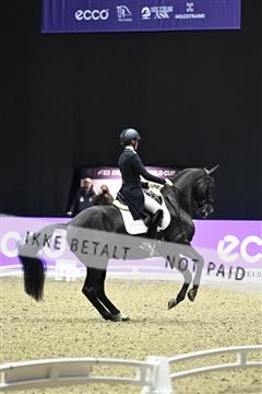 182194_kbb_03_Z092578.JPG