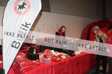 133496_tl_01_IMG_1659.JPG