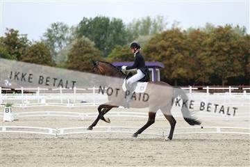 181923_mtp_03_R62_7535.JPG