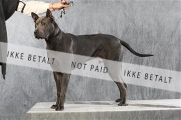 128239_le_ 06_0062.JPG