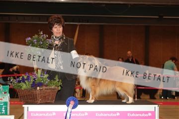 124188 _tl_02_IMG_9310.JPG