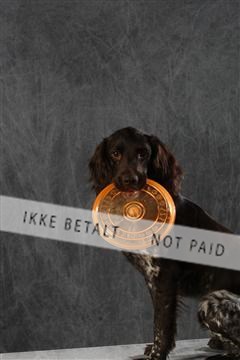 128239_le_kort_ 01_0045.JPG