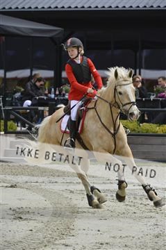 139644_abo_04__AB15378.JPG