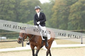 181894_mtp_04_R62_3499.JPG