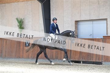 165985_kuo_02_D05_3161.JPG