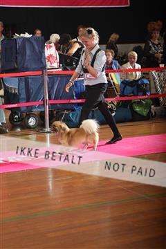 6068_ma_07_IMG_6820.JPG