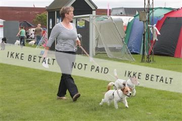130370_tl_01_IMG_7064.JPG