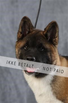 128239_le_ 06_0042.JPG