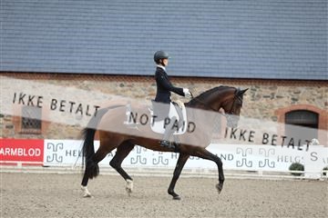 181957_mtp_06_3M5A0745.JPG