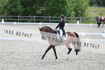 172030_mtp_01_3M5A2790.JPG