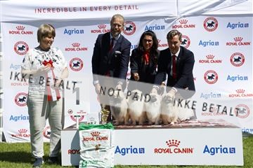 181564_ch_01__62_8731.JPG