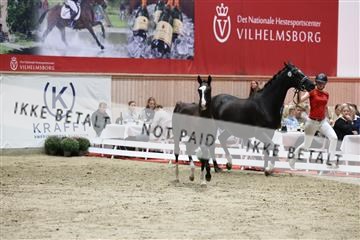 181957_mtp_08_R62_5653.JPG